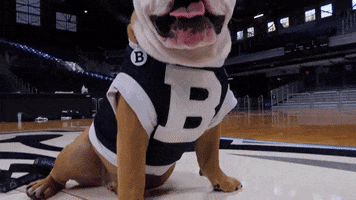 Butler Bulldogs Yawn GIF by Butler University
