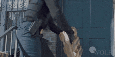 Break In Dick Wolf GIF by Wolf Entertainment