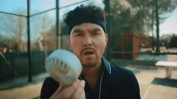 Tennis Pickleball GIF by Tyler Shaw