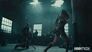 Wonder Woman Fighting GIF by Max