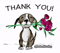 Featured image of post Animated Thank You Dog Gif