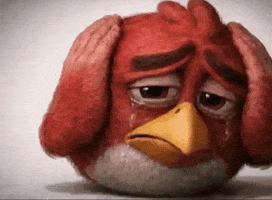 Angry Bird Instagram GIF