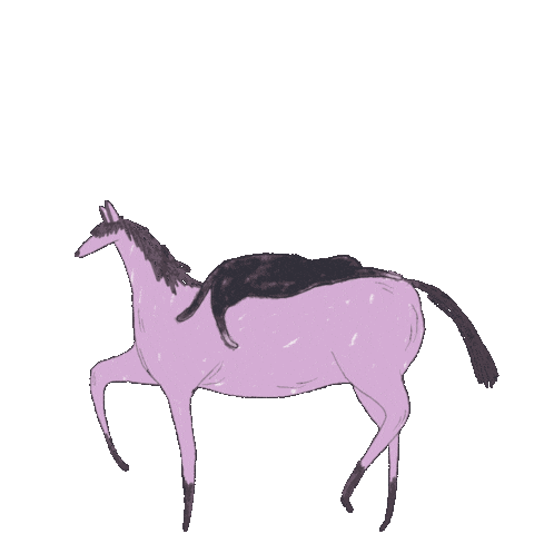 Horse Sticker by sunxinbiu