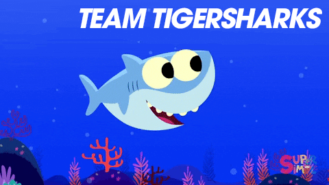 Tiger Shark GIF by RPA_Advertising