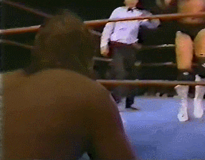 Wrestling GIF