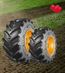 Ceat Specialty Brasil GIF