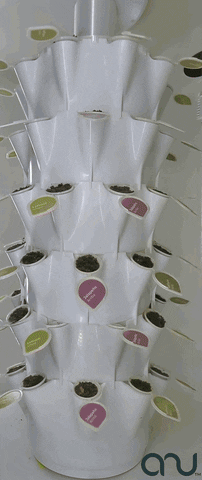 GIF by GroPod