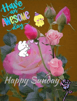 Awesome Happy Sunday GIF by The Seed of Life Foundation