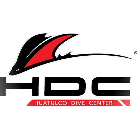 HuatulcoDiveCenter scuba scuba diving buceo padi GIF