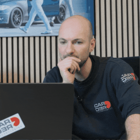 Timdeleeuw GIF by Carrec