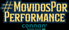 Performance Movidos GIF by Connan - Geração de Resultados