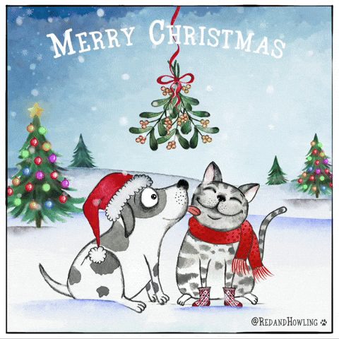Cartoon gif. Against a flickering, decorated Christmas tree background, a dog in a Santa hat licks the cheek of a cat in a red scarf and maroon boots. Their tails wag as mistletoe swings from a red ribbon above them. Text, "Merry Christmas."
