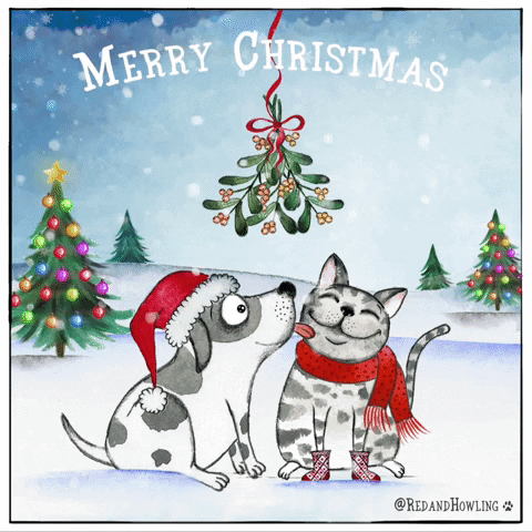 Cartoon gif. Against a flickering, decorated Christmas tree background, a dog in a Santa hat licks the cheek of a cat in a red scarf and maroon boots. Their tails wag as mistletoe swings from a red ribbon above them. Text, "Merry Christmas."