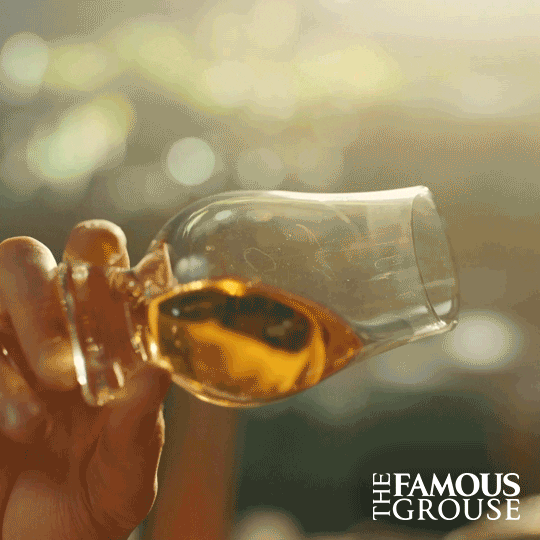 Scotland Whiskey GIF by The Famous Grouse