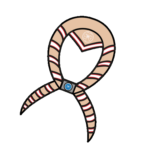 Pañueloguia Sticker by Asociación Guias Argentinas