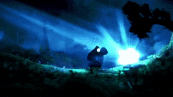 tats ori and the blind forest GIF