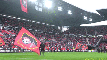 Roazhon Park Supporters GIF by Stade Rennais F.C.