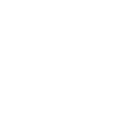 Escuela CMYK Sticker