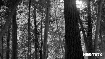 Black And White Tree GIF by HBO Max