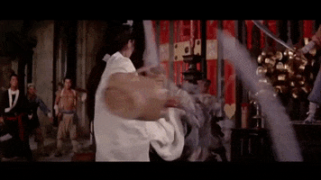 kung fu woman GIF by Shaw Brothers