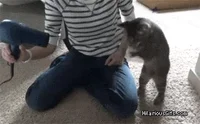 200w.webp