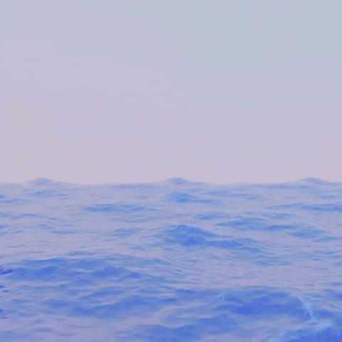 Animation GIF