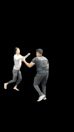 Swing Acrobatics GIF