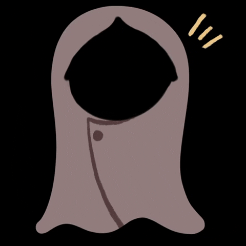 Renataner hijab hijabi veil kerudung GIF