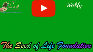 Youtube Plant GIF by The Seed of Life Foundation