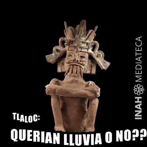 Museo GIF