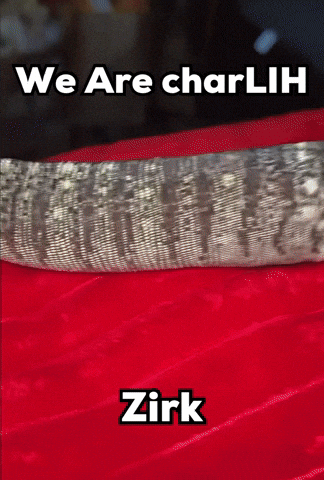 Lizard Venus GIF