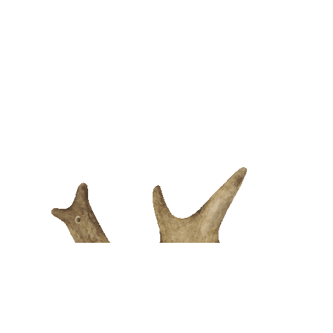 LesP'titesMiettes Sticker