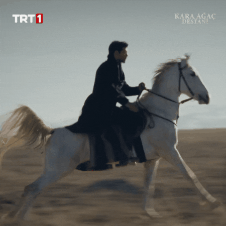 Jump Horse GIF by TRT