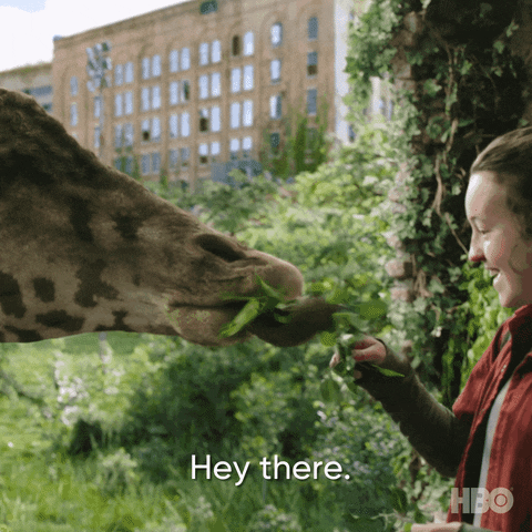 The Last Of Us Hello GIF by HBO
