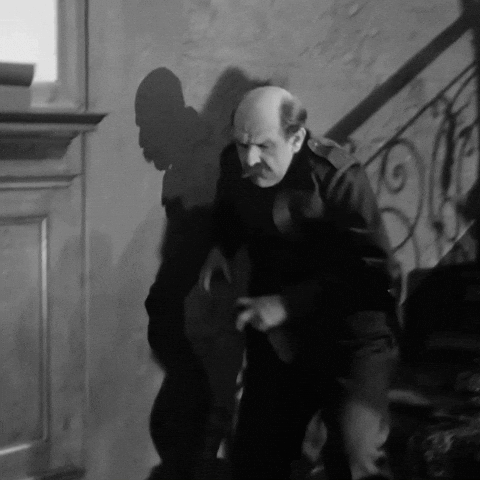 Theater Fauteuil GIF