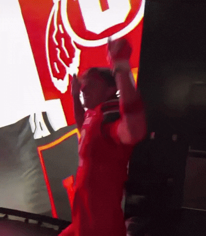Utah Utes GIF