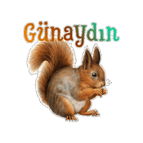 Günaydın Sticker by kazdagikoruma