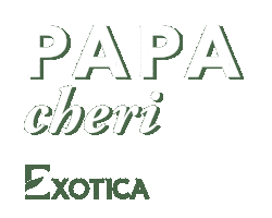 Exotica GIFs on GIPHY - Be Animated