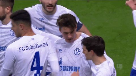 Football Soccer GIF by FC Schalke 04 - Find & Share on GIPHY