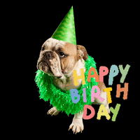 Happy Birthday Festa GIF by bulldogclub