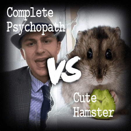 Ben Cohen Hamster GIF by motorstreet