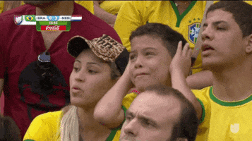brazil germany soccer GIF