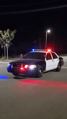 Ford Cvpi GIF