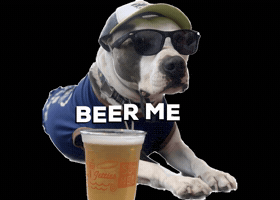 Dog GIF