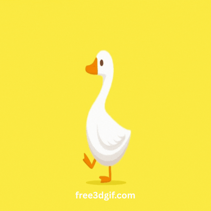 Looping Gif GIF