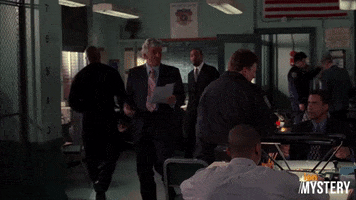 Law And Order Drama GIF by ION Mystery