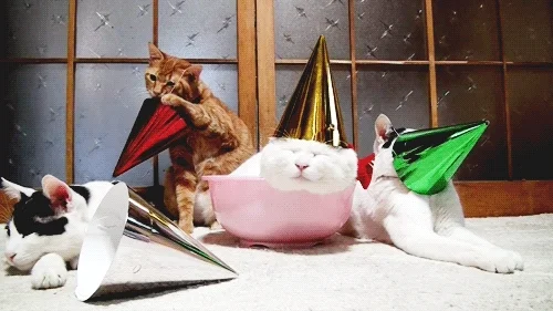 Happy Birthday GIF