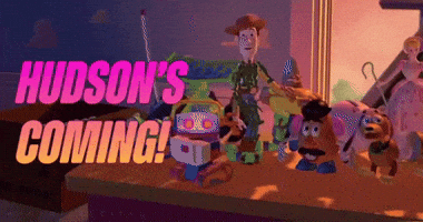Hudson GIF