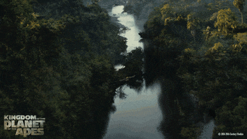 Planet Of The Apes Pota GIF by 20th Century Studios