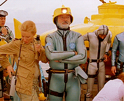 the life aquatic with steve zissou